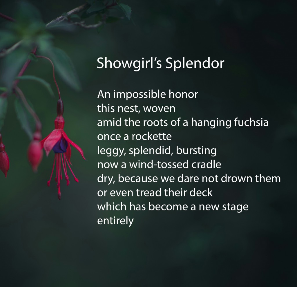 Anna Kaehler writer poem